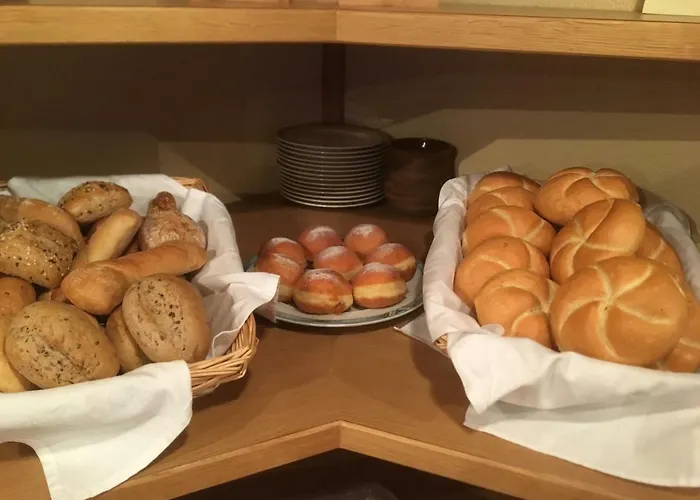 酒店 法尔塞格尔尼酒店 3*